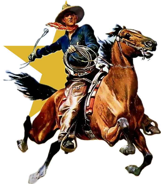 Cowboy Star